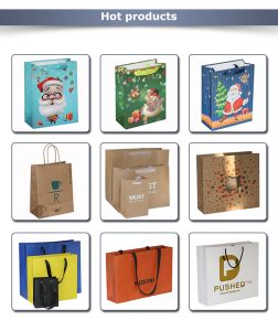 Printing Recycle Gift Matt Kraft Paper Shopping Bag with Cotton Rope Handles - description - 4