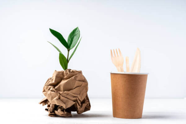 difference between biodegradable and compostable