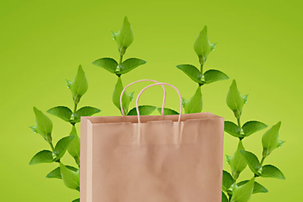 biodegradabilità dei sacchetti di carta